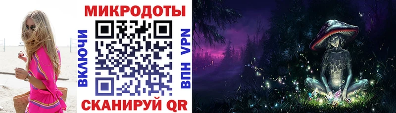 купить наркотики цена  Кирсанов  Галлюциногенные грибы мицелий 
